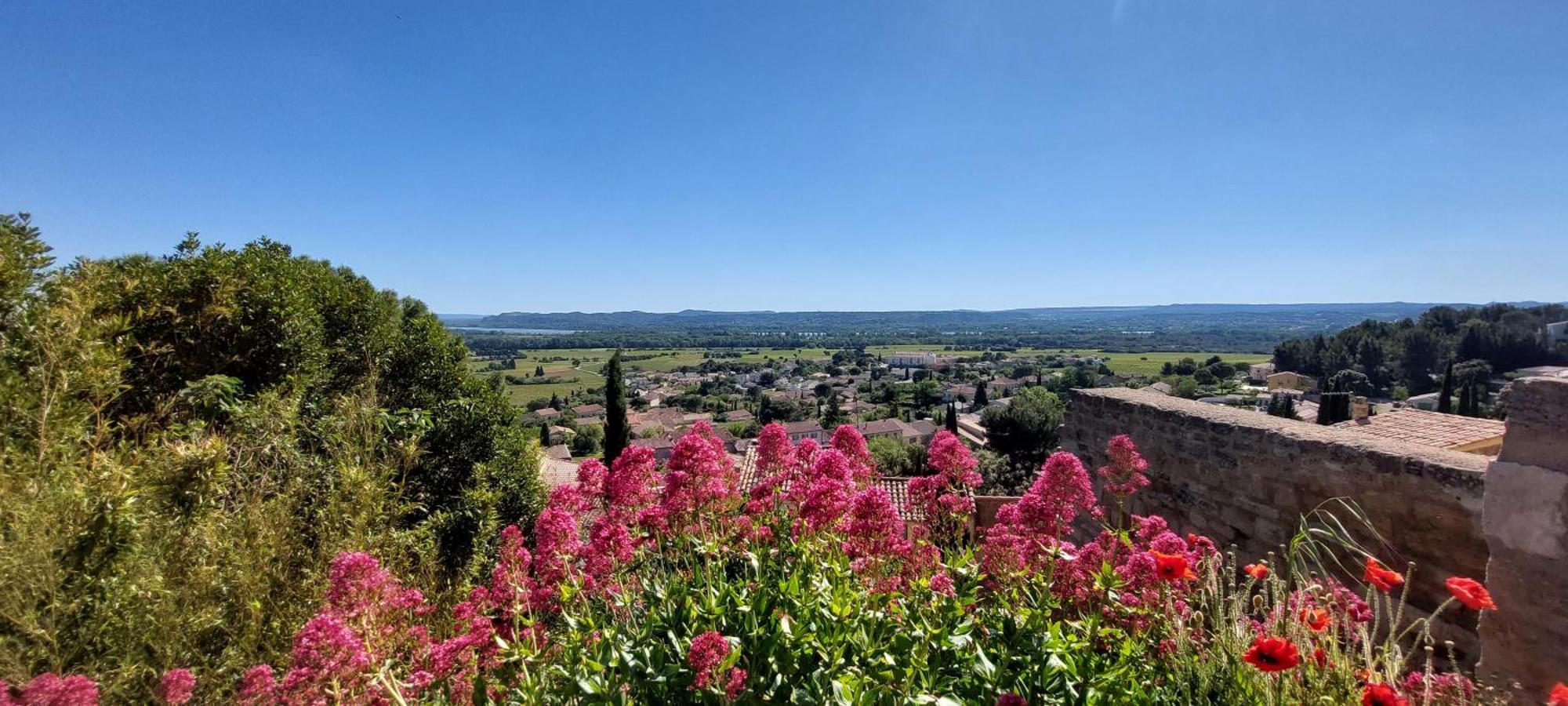 Gite De L'Olivier, Classe, Climatise, Jardin Avec Parking Gratuit Devant Le Logement Et A 5 Minutes Du Centre-Ville A Pied LʼIsle-sur-la-Sorgue Buitenkant foto